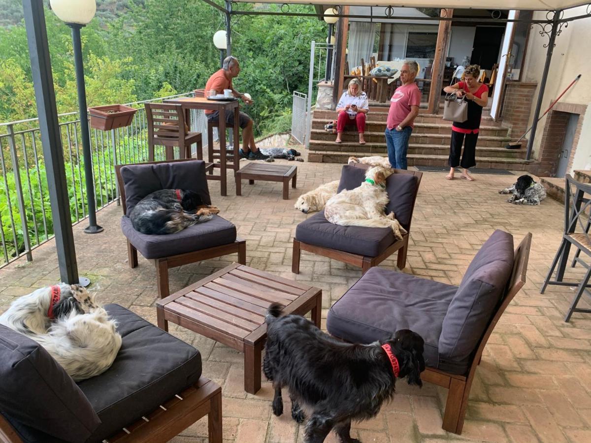 Setterhouseagrihotel Bauernhof *