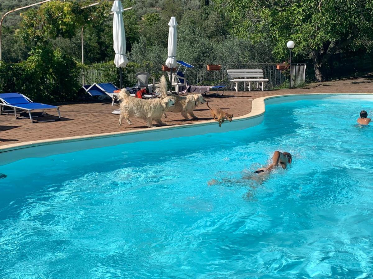 Setterhouseagrihotel Trevi