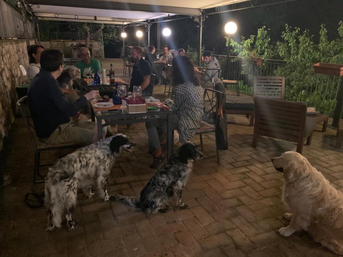 Setterhouseagrihotel * Trevi