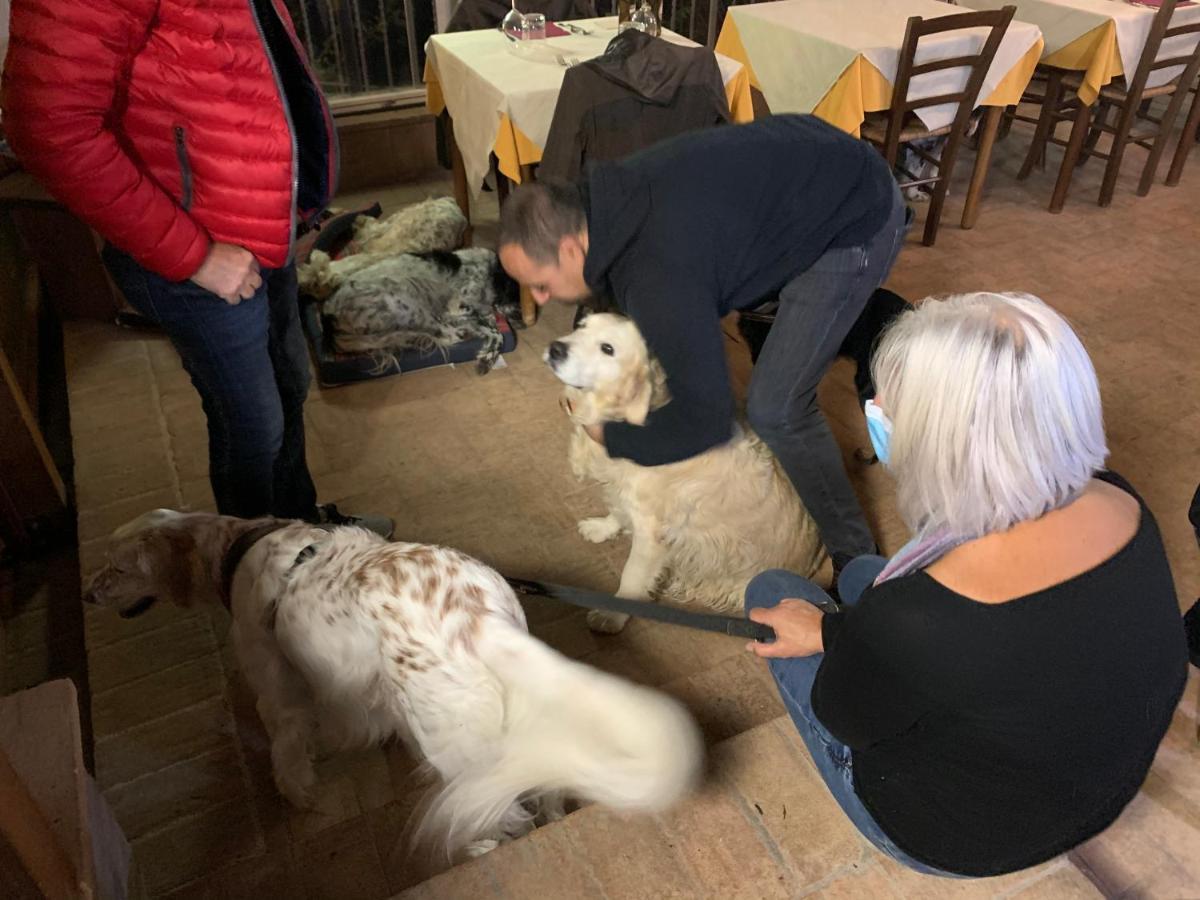 Bauernhof Setterhouseagrihotel *