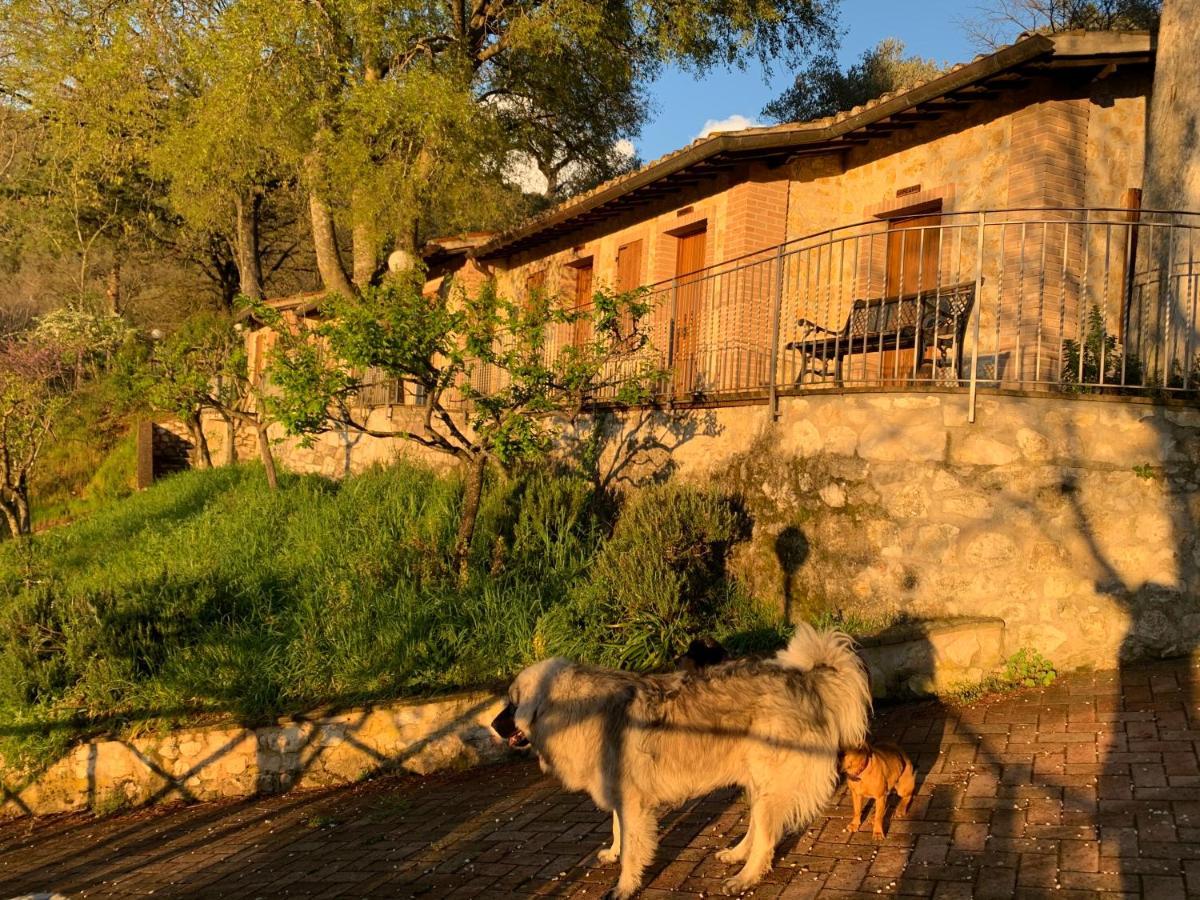 Setterhouseagrihotel Séjour à la ferme