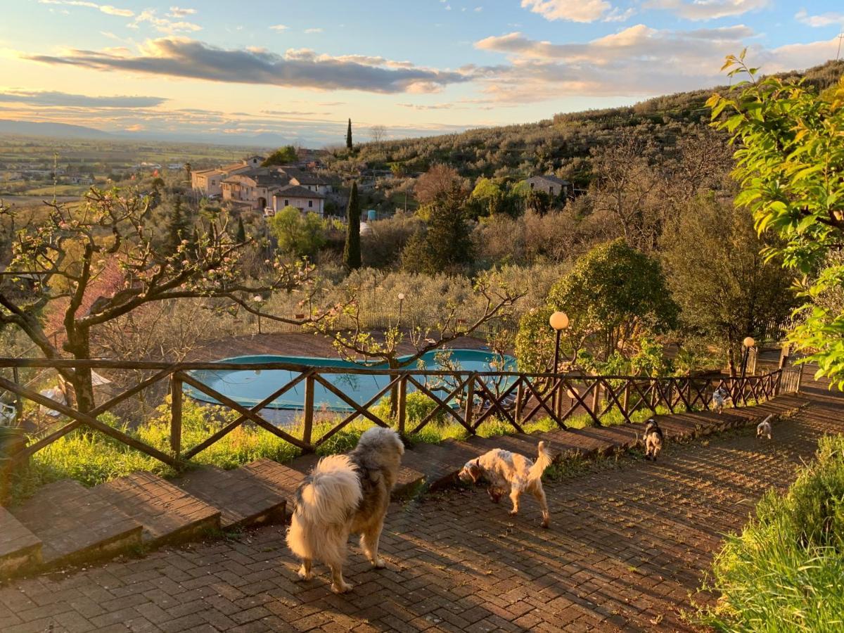 Setterhouseagrihotel Bauernhof Trevi